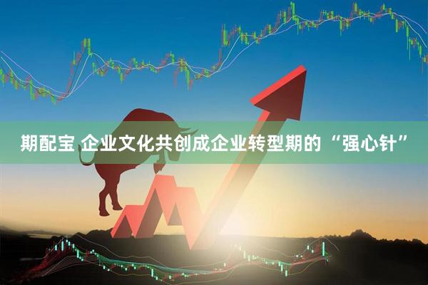 期配宝 企业文化共创成企业转型期的 “强心针”