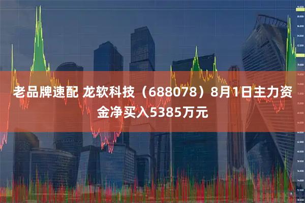 老品牌速配 龙软科技（688078）8月1日主力资金净买入5385万元