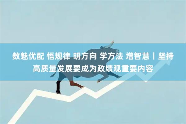 数魅优配 悟规律 明方向 学方法 增智慧丨坚持高质量发展要成为政绩观重要内容